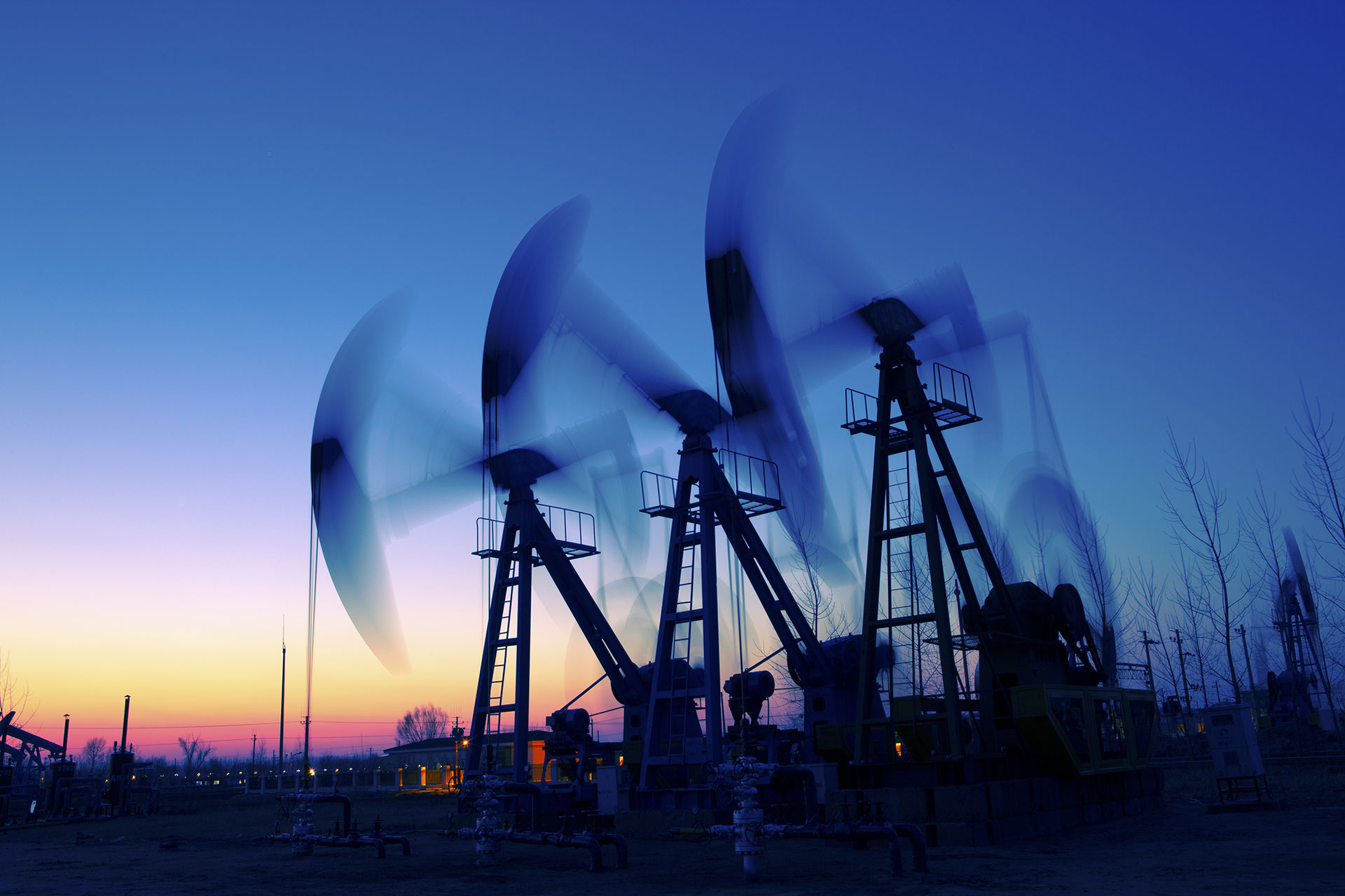 Narayani Green Beyond Fossil Fuels